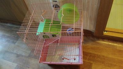 Лот: 16214947. Фото: 1. клетка для хомяка , крысы мыши... Домики, переноски, клетки, когтеточки