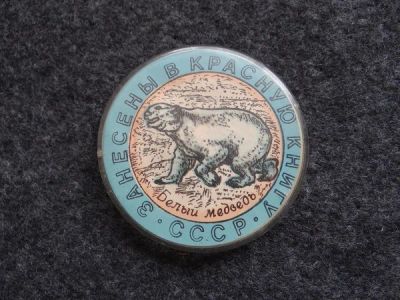 Лот: 9851991. Фото: 1. Значок. Белый медведь. Красная... Сувенирные
