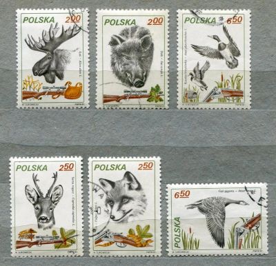 Лот: 7242739. Фото: 1. 1981 Польша Фауна Полная серия. Марки