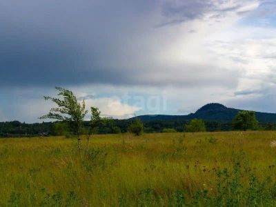 Лот: 25527472. Фото: 1. участок , село Березовка село... Земельные участки