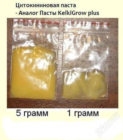Лот: 2652291. Фото: 1. паста цитокининовая, для размножения... Грунты, удобрения