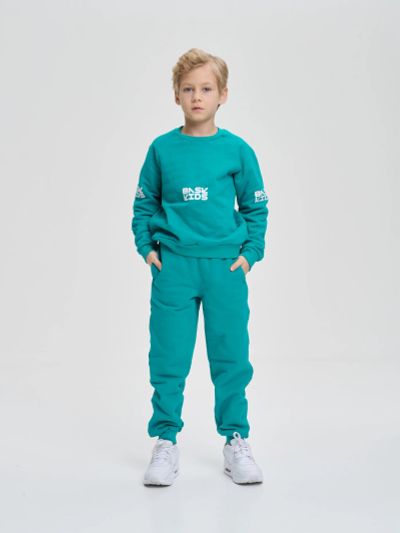Лот: 25113898. Фото: 1. Толстовки BASK kids. Легкие куртки, толстовки