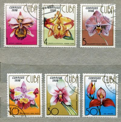 Лот: 15080061. Фото: 1. 1986 Куба Цветы Орхидеи Растения... Марки