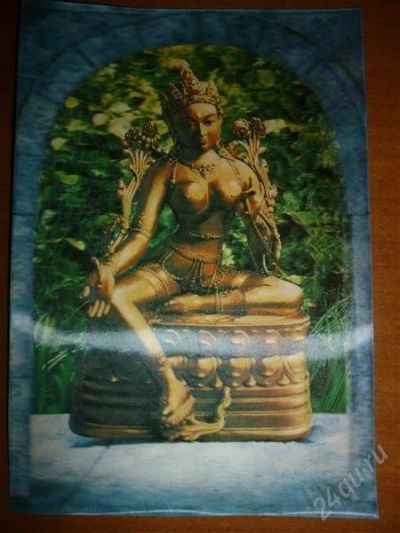 Лот: 2235415. Фото: 1. Открытка. Фотографии
