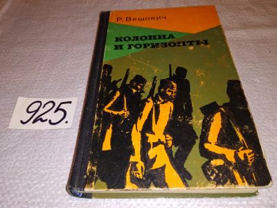 Лот: 14350281. Фото: 1. Вешович Р., Колонна и горизонты... Художественная