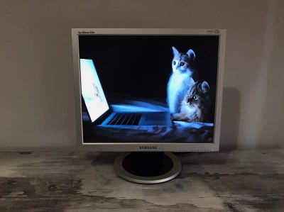 Лот: 14707017. Фото: 1. ЖК-монитор 19" Samsung SyncMaster... ЖК-мониторы