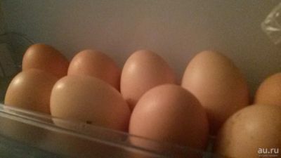 Лот: 13037294. Фото: 1. Домашние куриные яйца. Мясо, птица, яйцо