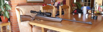 Лот: 3875676. Фото: 1. Gamo Hunter 440 (орех, стальная... Пневматическое оружие