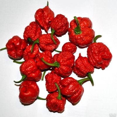 Лот: 12090826. Фото: 1. Плод перца Carolina Reaper (Каролина... Овощи, фрукты, зелень