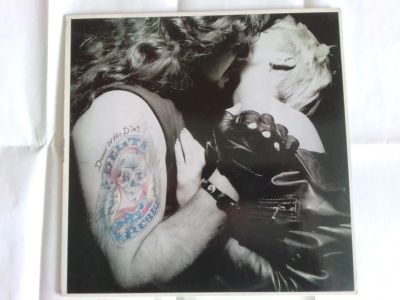 Лот: 25633266. Фото: 1. LP Delta Rebels -Down In The Dirt-... Аудиозаписи