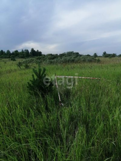Лот: 25296545. Фото: 1. участок , СНТ Дружба СНТ Дружба... Земельные участки