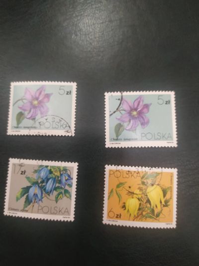 Лот: 6006111. Фото: 1. Флора на марках. "Цветы" Польша... Марки