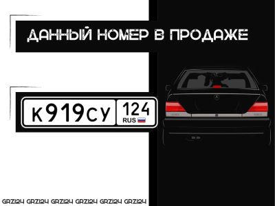 Лот: 21451058. Фото: 1. Госномер 919 гос номер 919 гос... Госномера