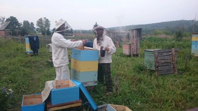 Лот: 11764287. Фото: 1. Пчелиное маточное молочко. Мёд, продукты пчеловодства