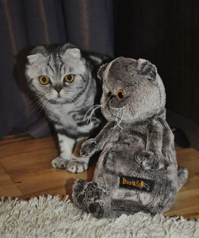 Лот: 3978899. Фото: 1. Кот Басик с шарфиком 22 см. Мягкие