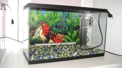Лот: 1244443. Фото: 1. Аквариум. Аквариумы, террариумы