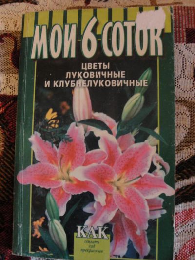 Лот: 4380556. Фото: 1. Мои 6 соток. Луковичные и клубнелуковичные. Сад, огород, цветы