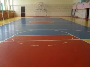 Лот: 25038400. Фото: 1. Краска для спортзалов резиновая... Краски, лаки, растворитель