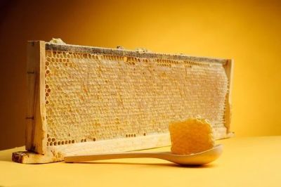 Лот: 20013010. Фото: 1. Рамка сотового мёда весом до 1600... Мёд, продукты пчеловодства