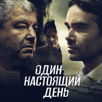 Лот: 24291222. Фото: 1. Один настоящий день. Видеозаписи, фильмы