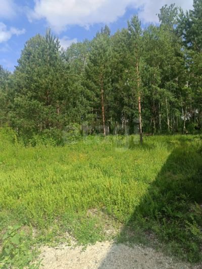 Лот: 25526897. Фото: 1. участок , СНТ Рублёвка СНТ Рублёвка... Земельные участки