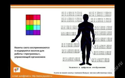 Лот: 2229654. Фото: 1. ЦПС ключ для работы с программой... Оборудование