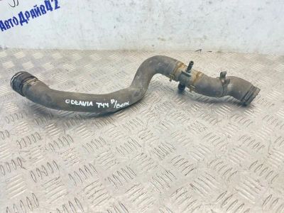 Лот: 25404436. Фото: 1. патрубок радиатора Skoda Octavia... Двигатель и элементы двигателя