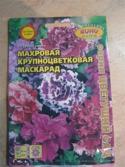 Лот: 2722082. Фото: 1. Петуния Маскарад (рассада). Другое (семена, рассада, садовые растения)