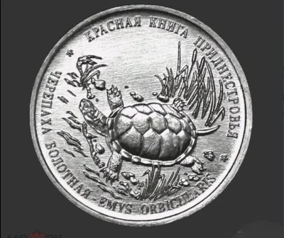 Лот: 16431473. Фото: 1. Приднестровье 1 рубль 2018 Черепаха... Европа