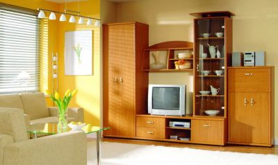 Лот: 2996017. Фото: 1. Стенка "Тристан". Гостиные, стенки, горки