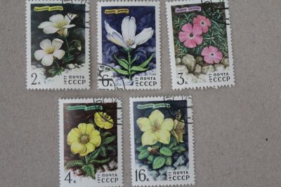 Лот: 24900054. Фото: 1. Марки СССР 1977 года. Цветы. Растения... Марки