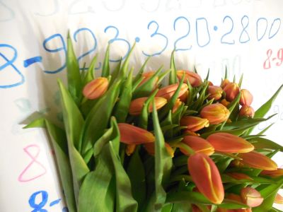 Лот: 7058440. Фото: 1. 25 тюльпанов - Подарочный Букет... Подарки на 8 марта
