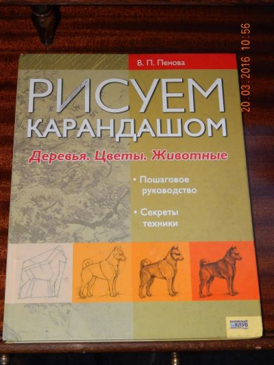 Лот: 7135951. Фото: 1. Валентина Пенова: Рисуем карандашом... Изобразительное искусство