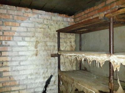 Лот: 6006218. Фото: 1. Кирпичный подвал в академгородке. Подвалы, погреба, кладовые