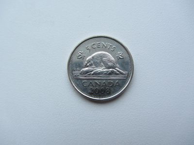 Лот: 7041194. Фото: 1. Канада 5 центов 2008 г , " Бобер... Америка