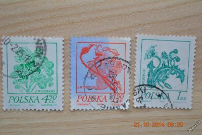 Лот: 5734973. Фото: 1. Марки Польши 1974г. Цветы. Марки