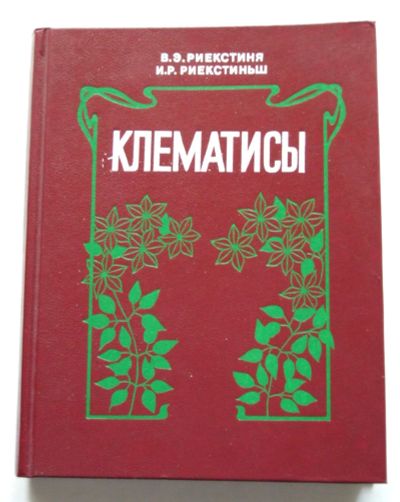 Лот: 21772397. Фото: 1. Клематисы (огород сад цветы растения... Сад, огород, цветы