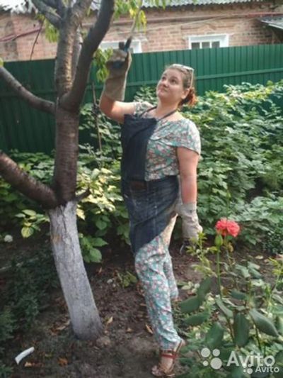 Лот: 14375418. Фото: 1. Работники на придомовом участке. Благоустройство и озеленение участка
