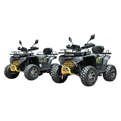 Лот: 25266942. Фото: 1. Квадроцикл WELS ATV Dodge 225... Снегоходы, квадроциклы