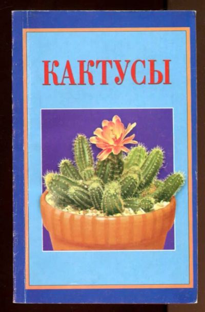 Лот: 23436887. Фото: 1. Кактусы. Сад, огород, цветы