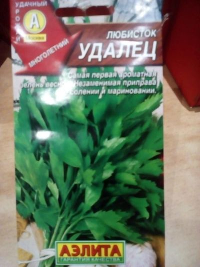 Лот: 10926757. Фото: 1. Любисток "Удалец", 0,3г. Пряные, лекарственные растения и зелень