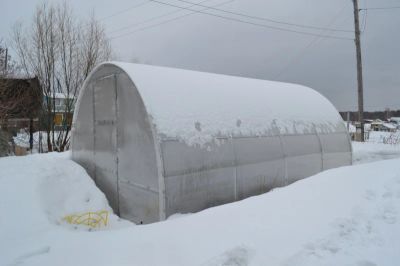 Лот: 4064044. Фото: 1. Купала теплица из проф трубы 20... Другое (парники, теплицы)