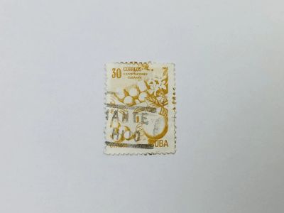 Лот: 23314399. Фото: 1. Экспорт Кубы: Цитрусовые фрукты... Марки