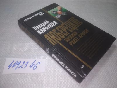 Лот: 25278386. Фото: 1. оз...вб...(4092346) Карышев Валерий... История