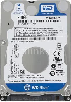 Лот: 5054202. Фото: 1. Жесткий диск 250Gb Western Digital... Жёсткие диски (HDD)