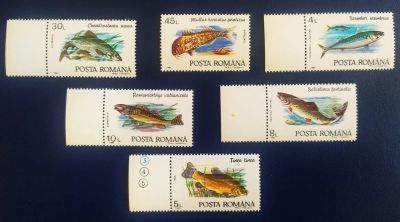 Лот: 19575360. Фото: 1. Румыния 1992 Рыбы полная серия... Марки