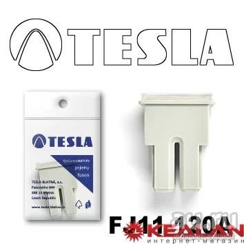 Лот: 8599177. Фото: 1. TESLA FJ11 120A предохранитель... Расходные материалы