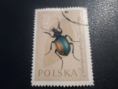 Лот: 17154344. Фото: 1. Марка для Вашей коллекции. №24342. Марки