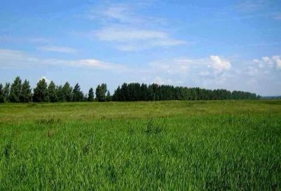 Лот: 3783139. Фото: 1. Продам участок в Зыково. Земельные участки