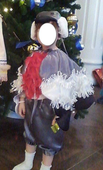 Лот: 6356296. Фото: 1. костюм новогодний "Снегирь". Детские карнавальные, праздничные костюмы